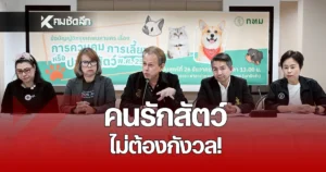 ไม่ต้องกังวล! กทม. เตรียมเสนอสภา กทม. ชะลอข้อบัญญัติหมาแมว